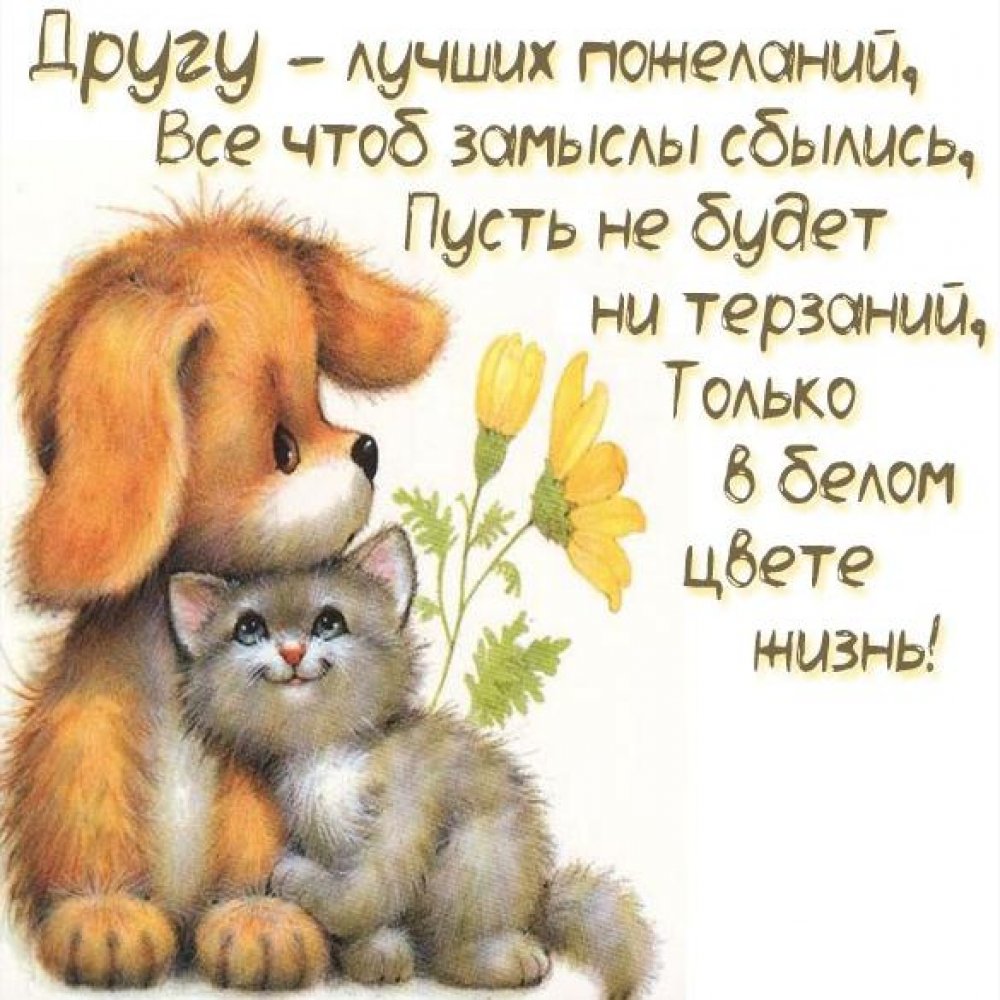 Хорошие открытки для друзей