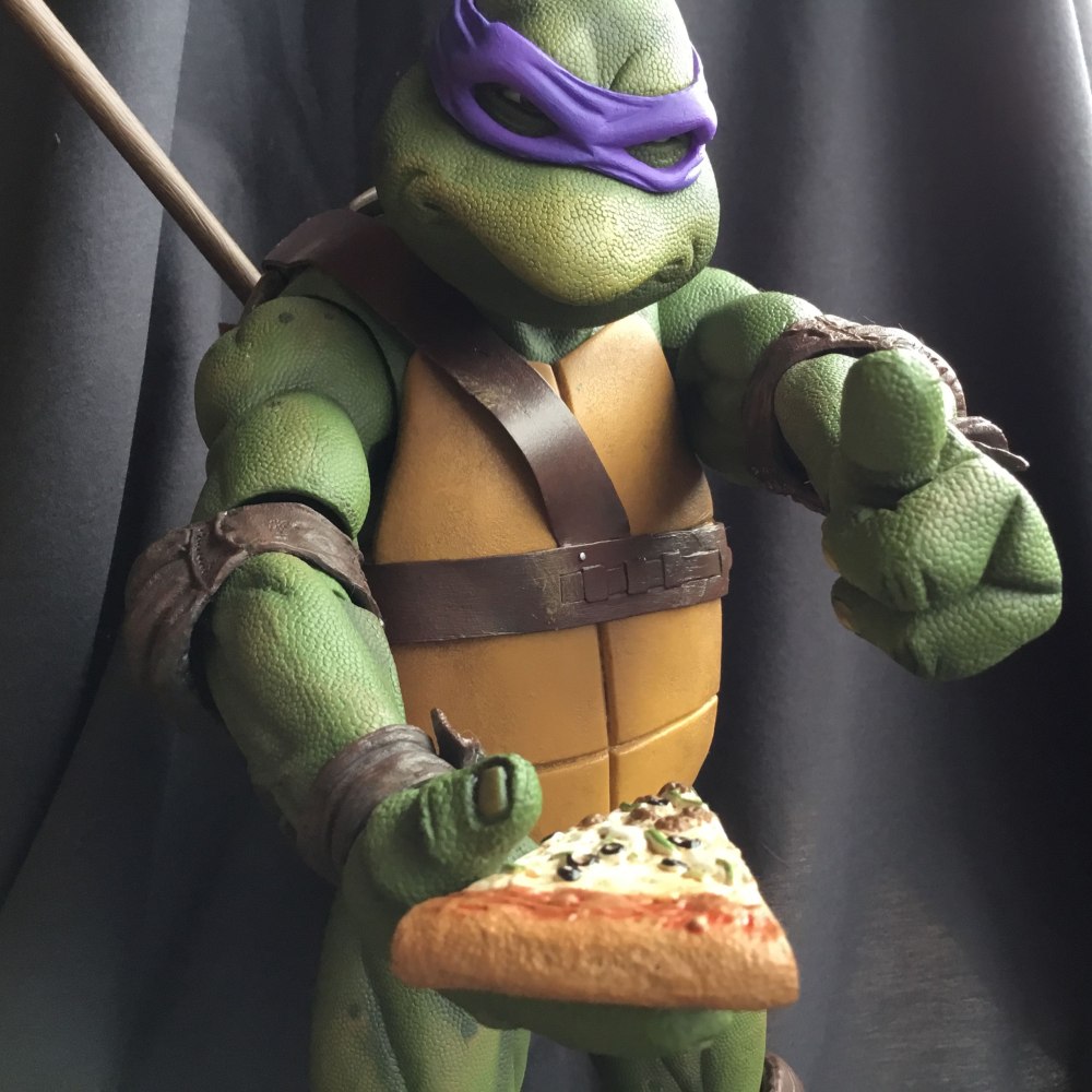 Teenage Mutant Ninja Donatello
