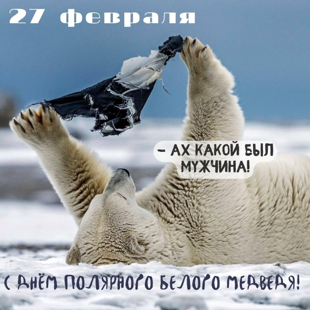 День белого полярного медведя