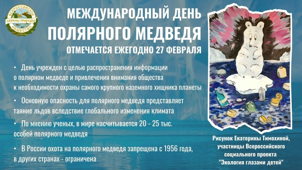 Белый медведь Ursus maritimus