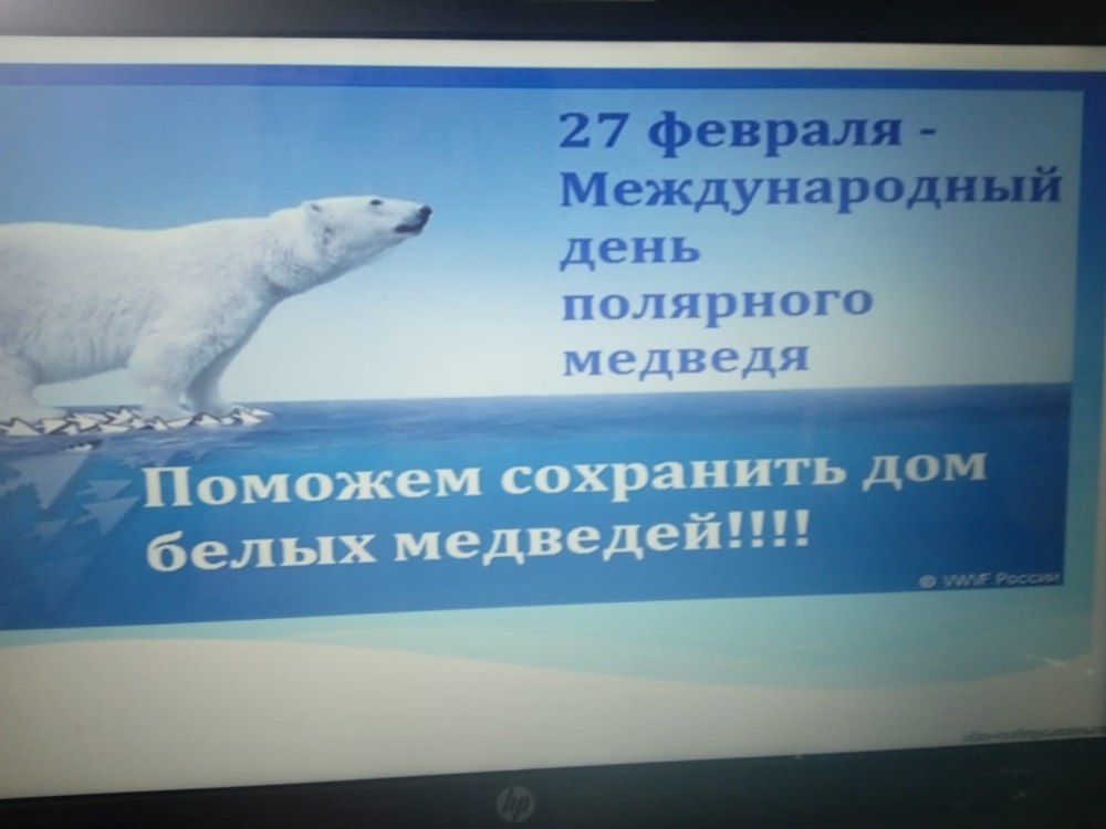 Международный день полярного медведя International Polar Bear Day