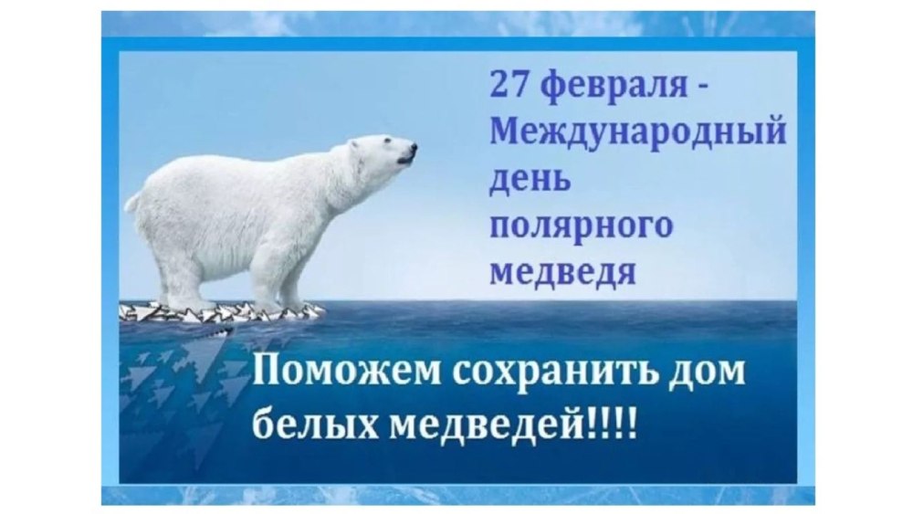 Вес и длина белого полярного медведя