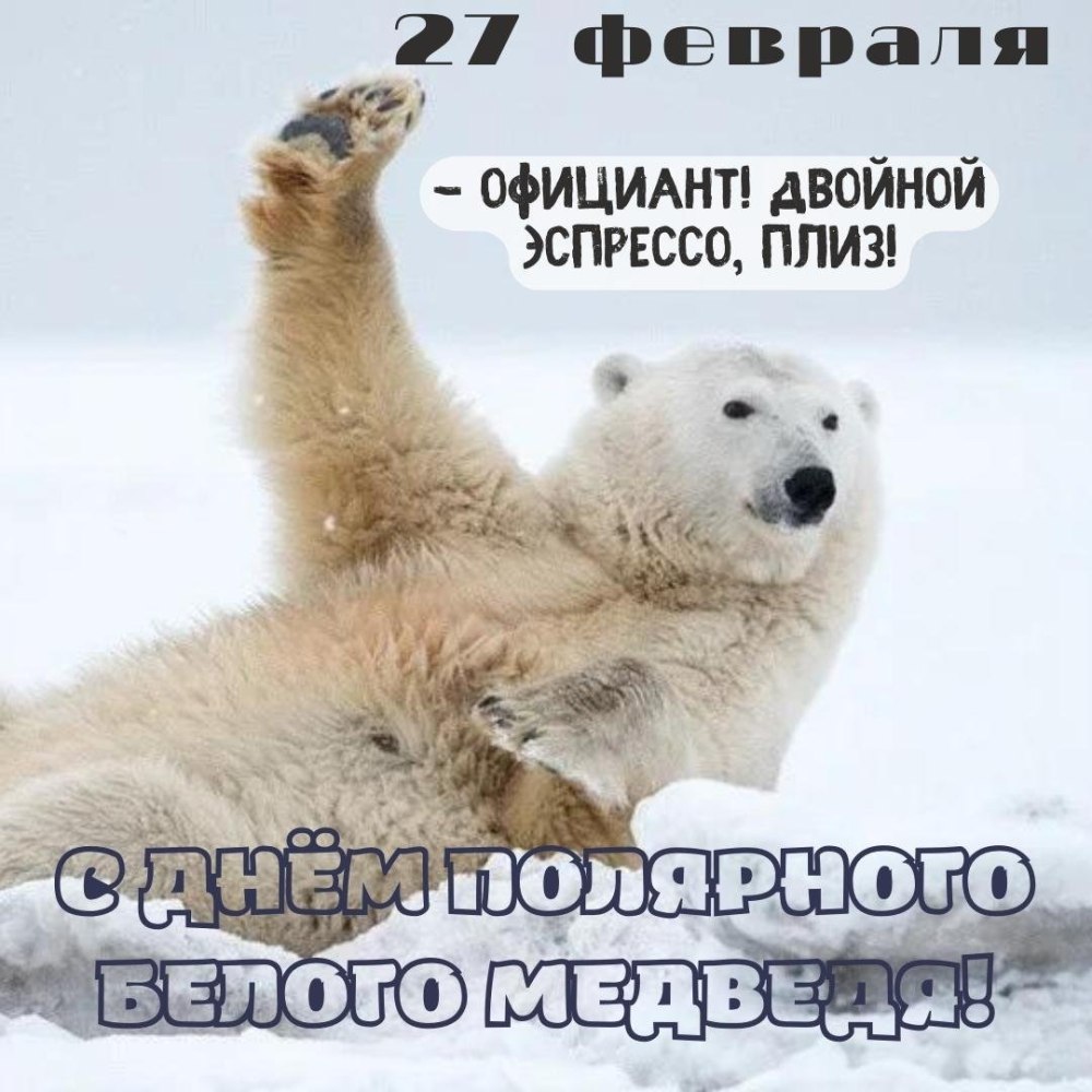 Международный день медведя