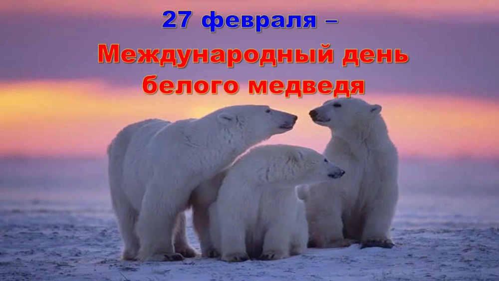 День белого медведя 27 февраля