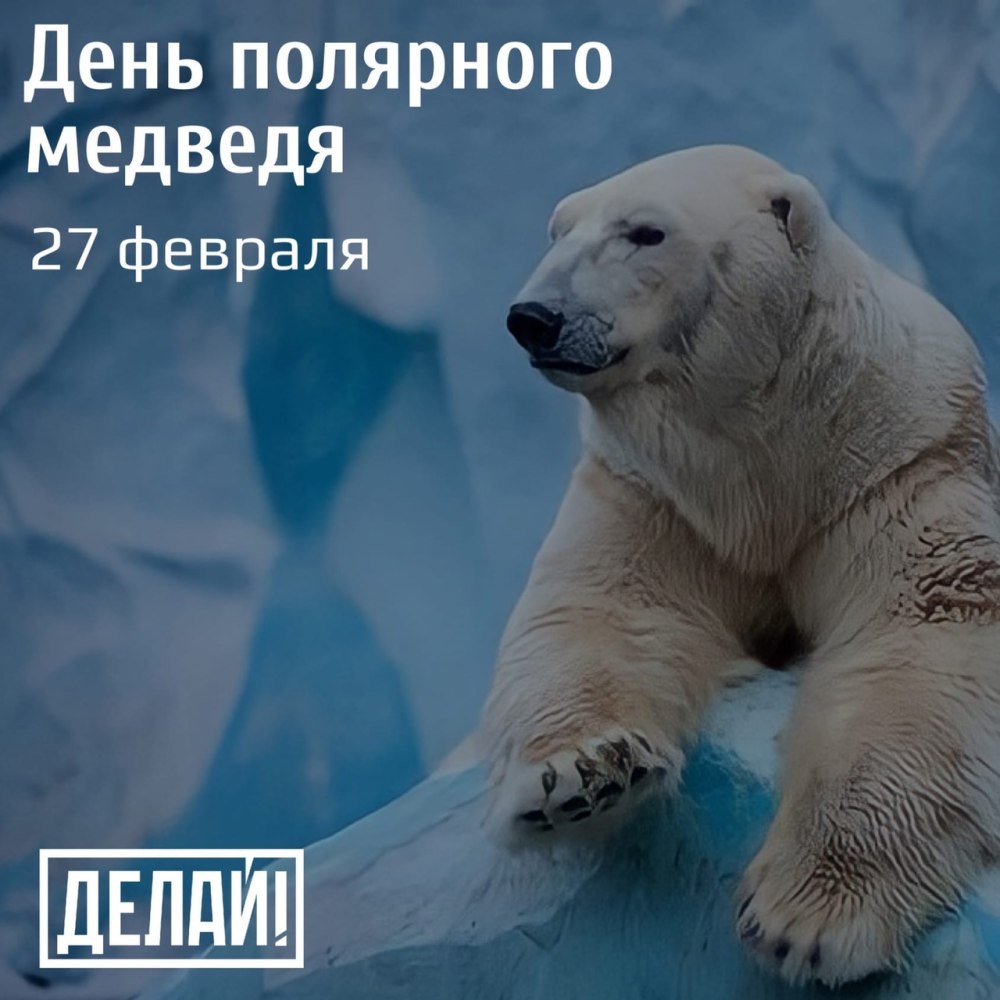 27 Февраля Всемирный день полярного медведя