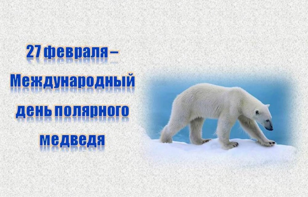 27 Февраля Международный день белого медведя