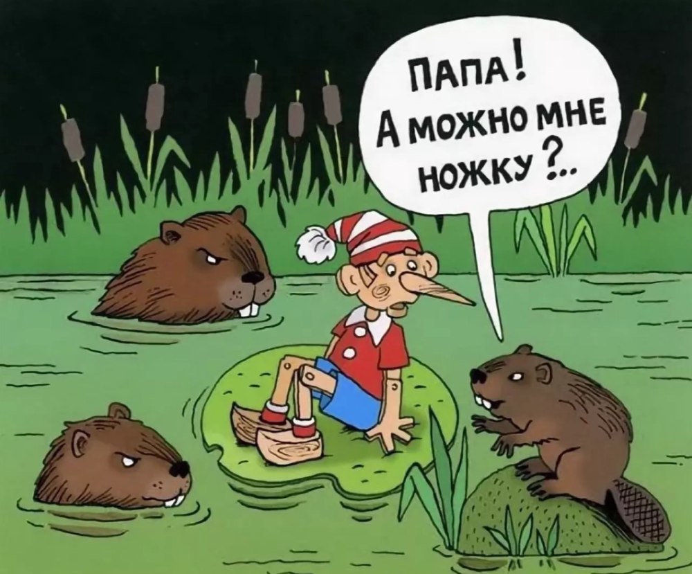 Международный день бобра