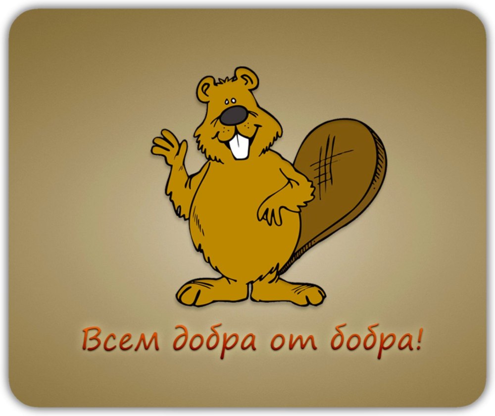Как известно бобры добры