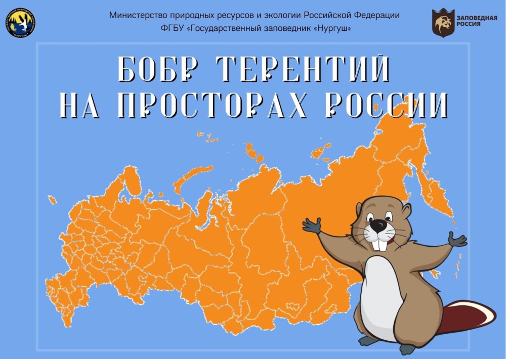 Бобер открытка
