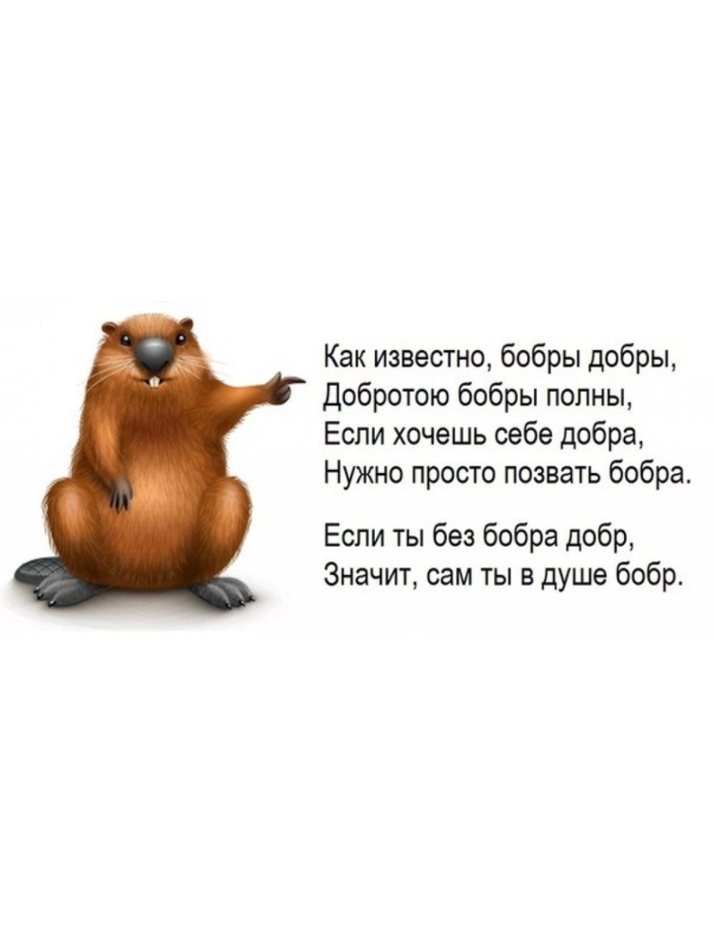 Книга бобры