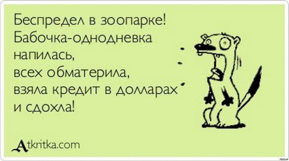 Бобер Липецк