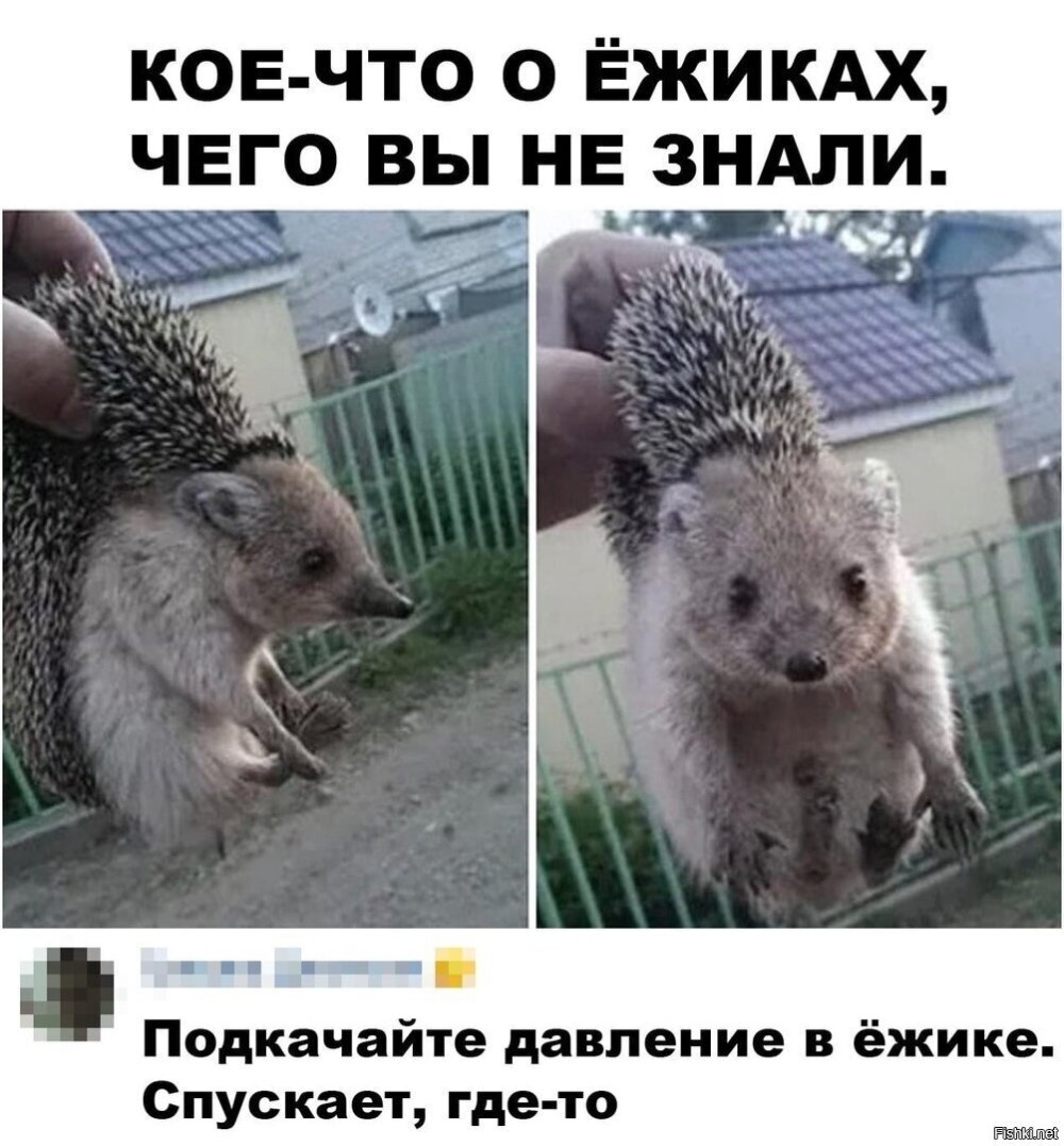 Вилли Вонка Удиви меня