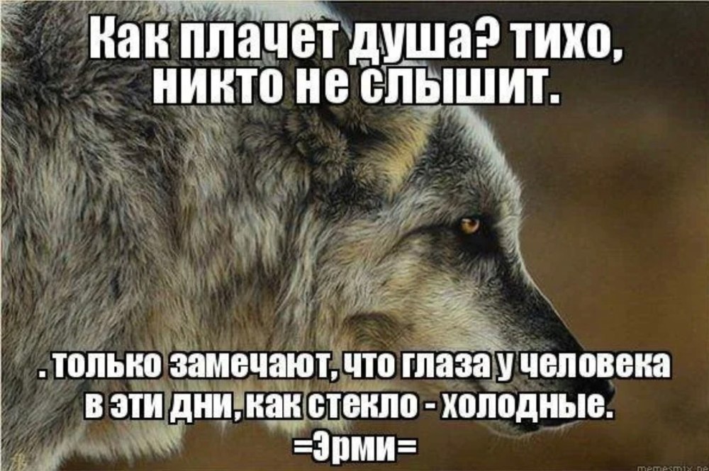 Мемы не надо так