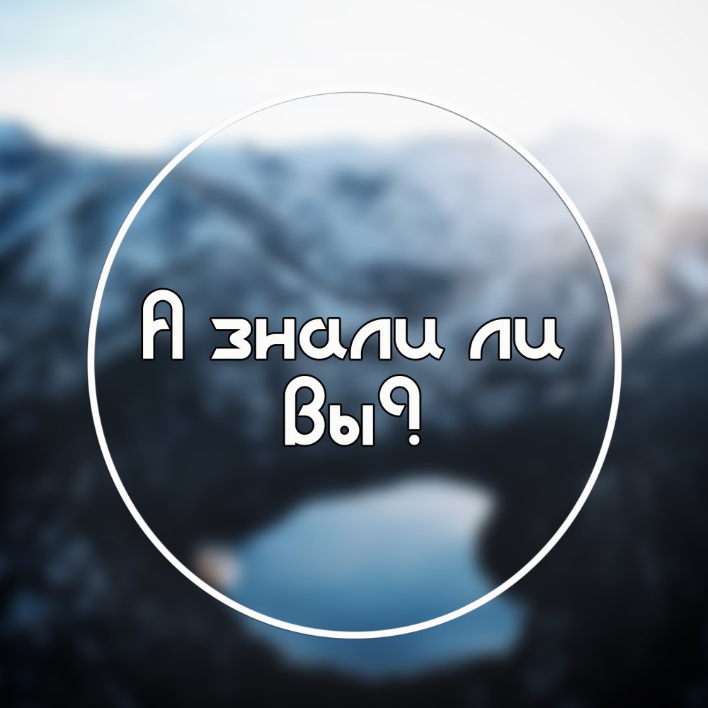 Привет дядя Федор