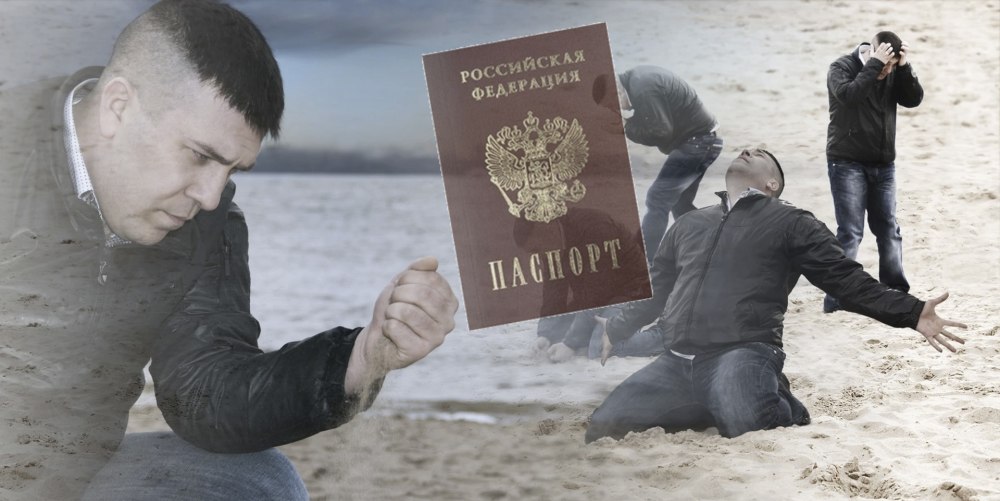Акулы никогда ничем не болеют