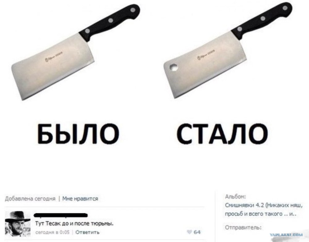 Шерминаторуши было стало