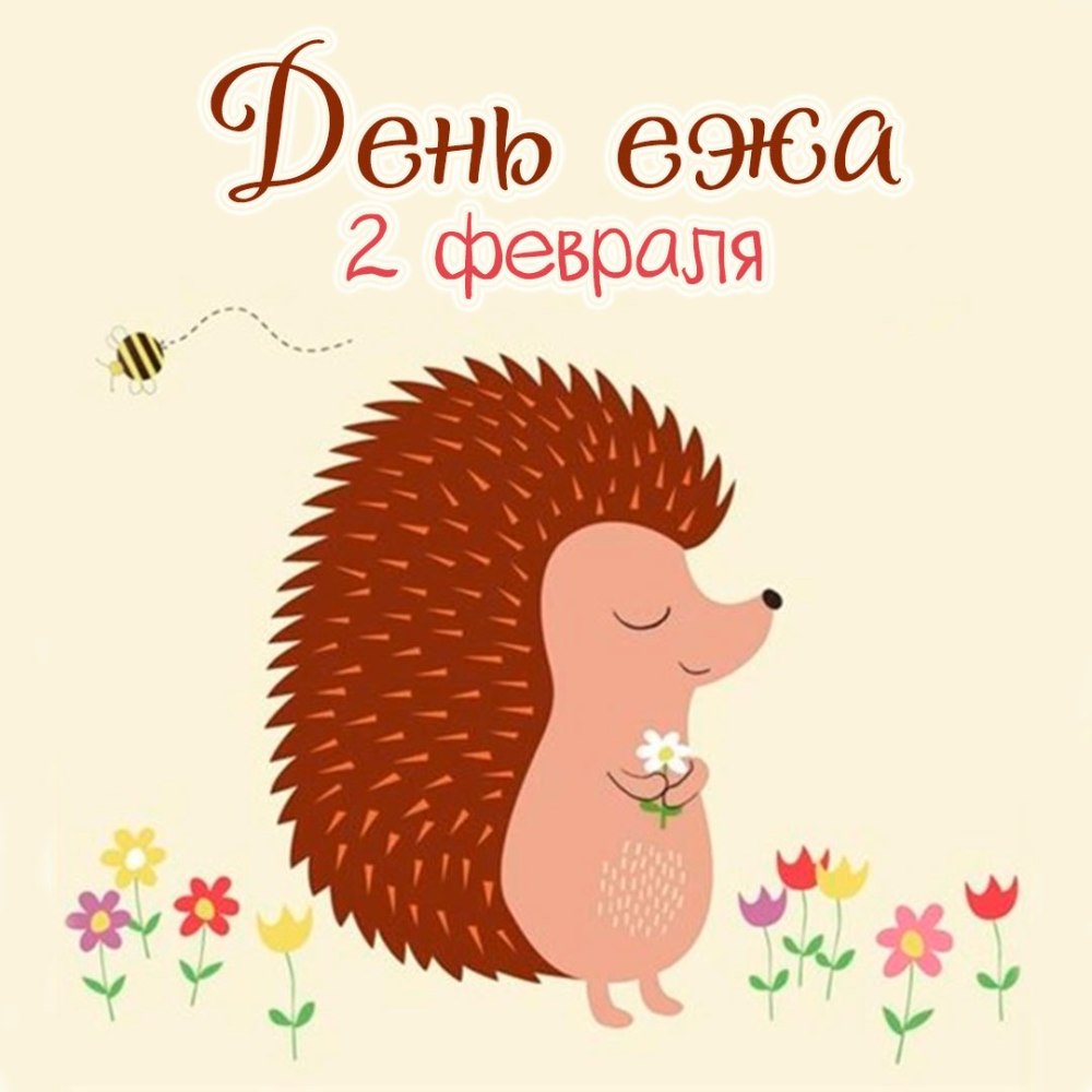 Ежик поздравляет с днем рождения