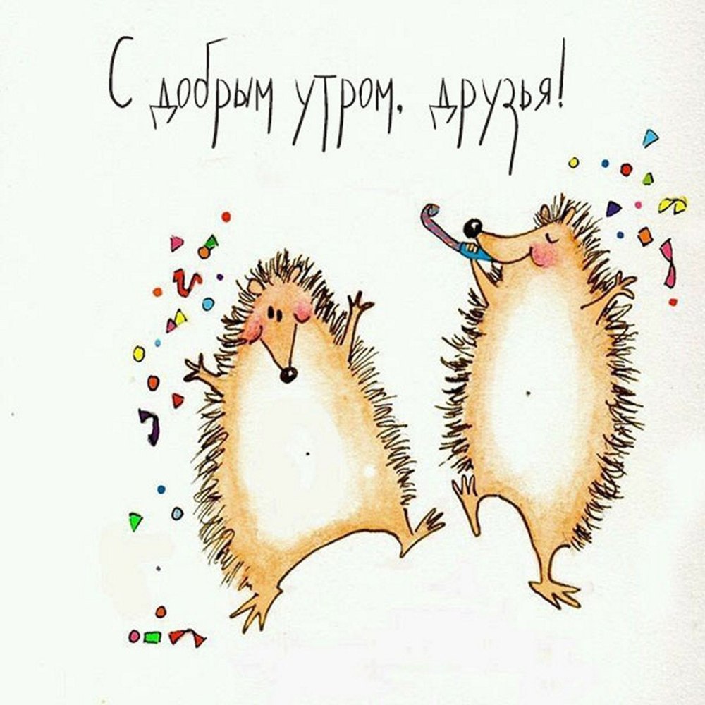 С днем рождения Ежик