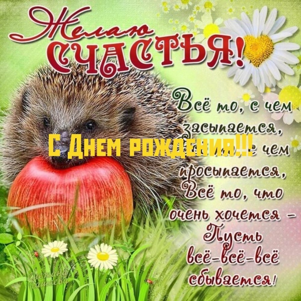 С днем рождения медведь