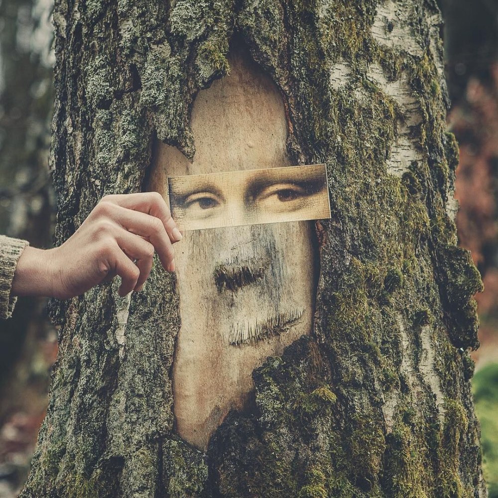 Дерево с глазами