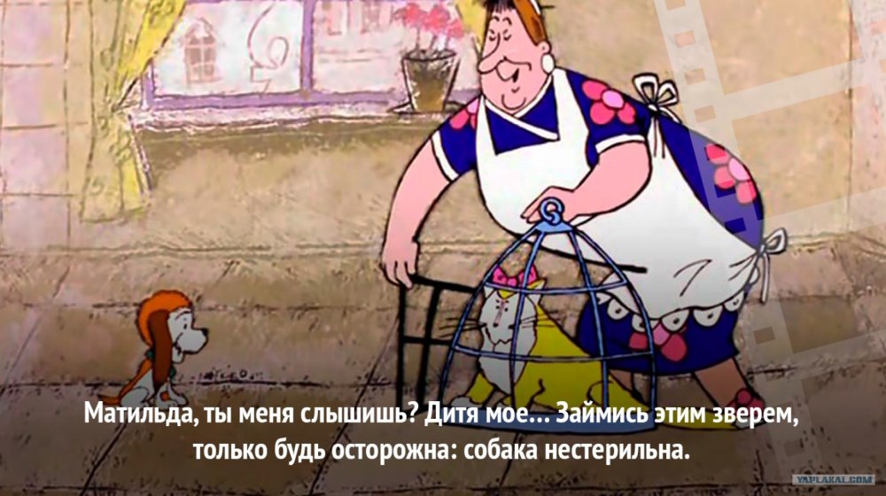 Мадам Фрекен бок