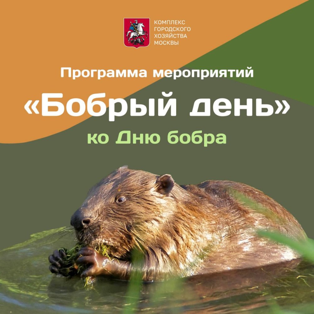 Добра бобра