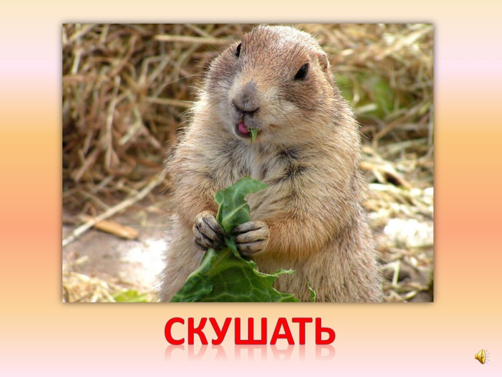 Арт открытки с днем рождения