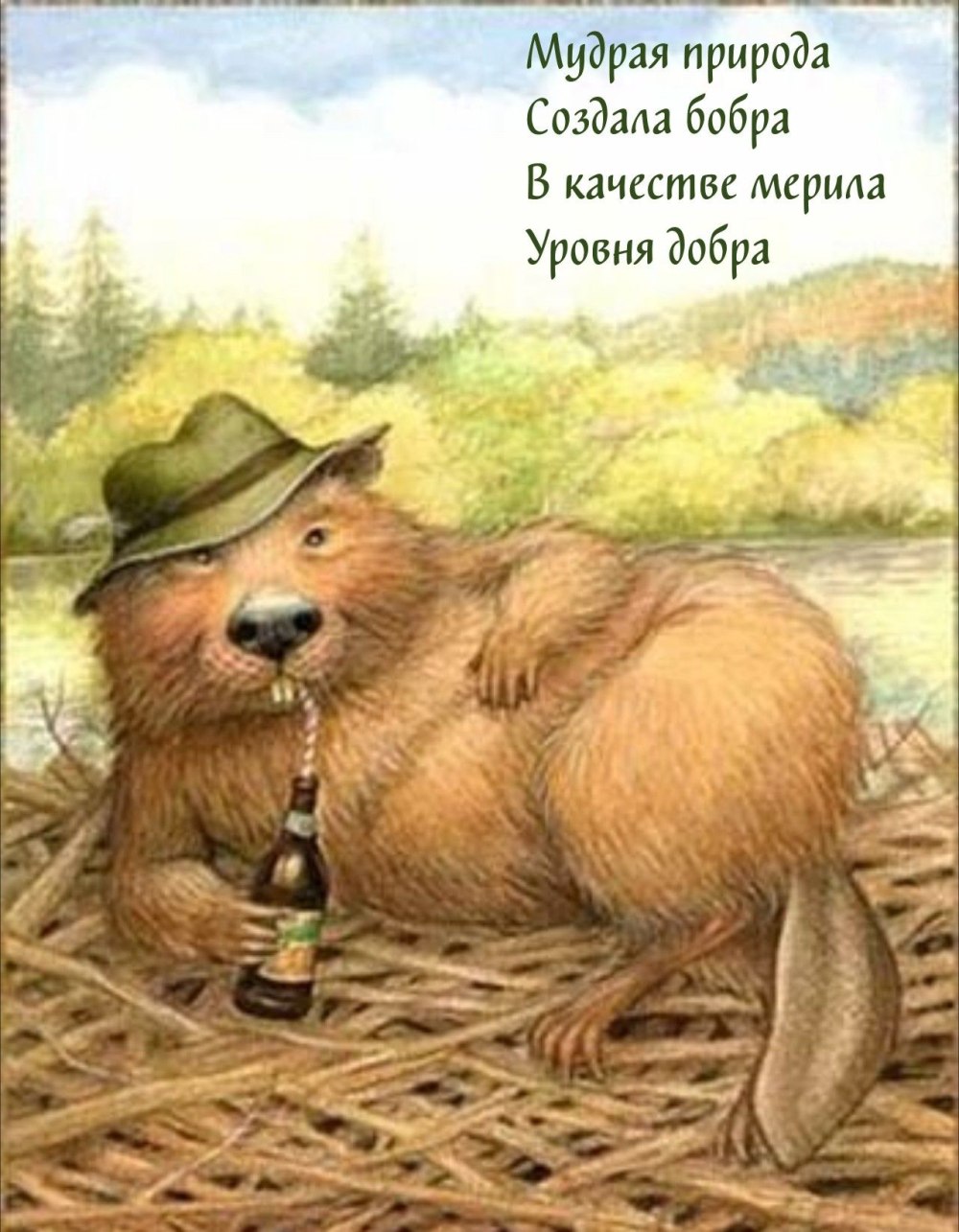 Всемирный день бобра