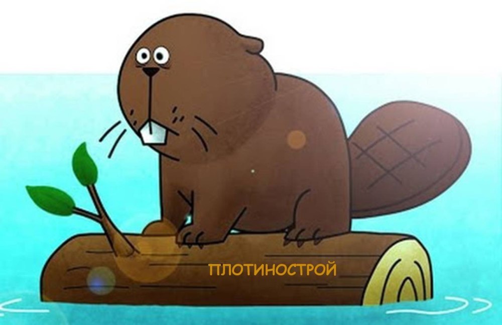 День бобра