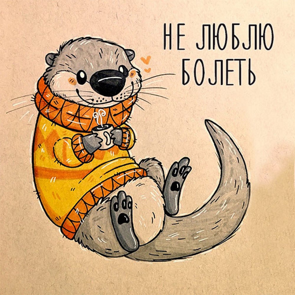 Сонный бобер