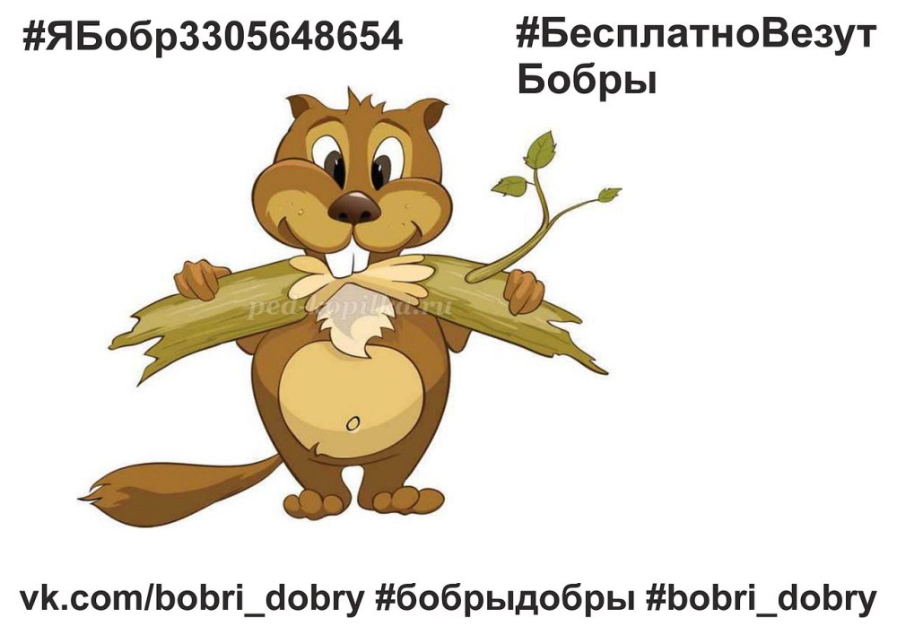 Лебедь и бобры мес