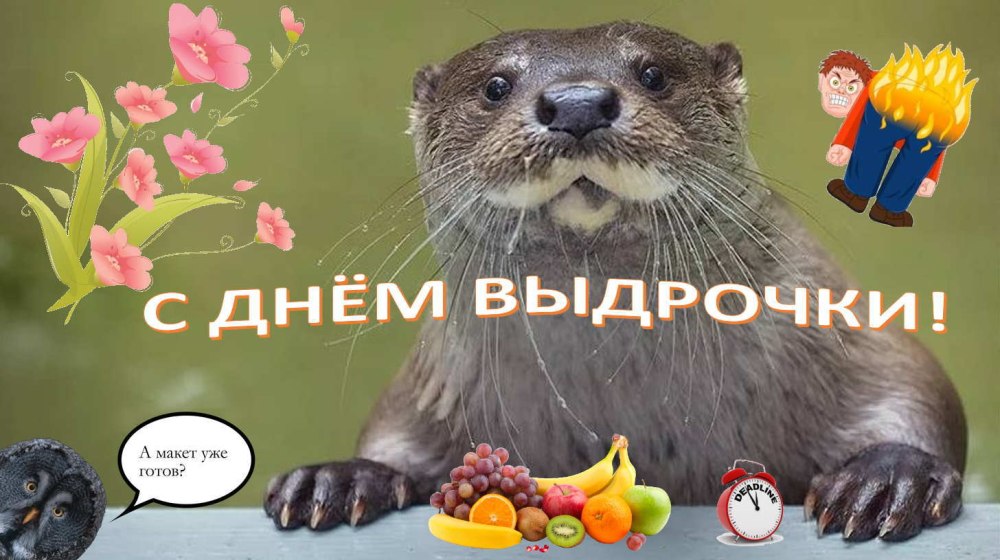 С днём рождения прикольные с бобром