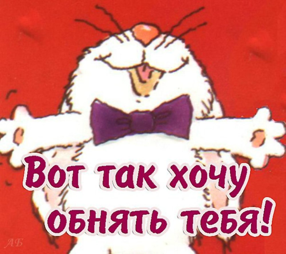 Вот так я тебя люблю