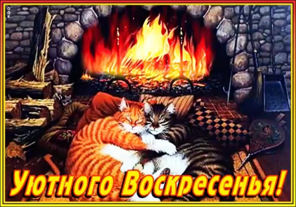 Уютные коты
