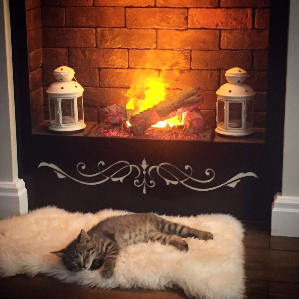 Кот у камина