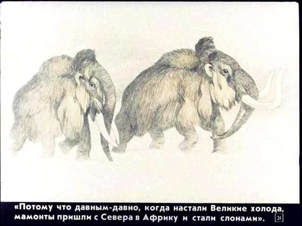 Мама для мамонтенка мультфильм 1981