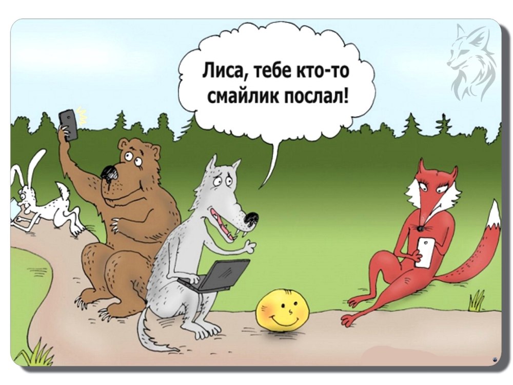 Смешные анекдоты про животных