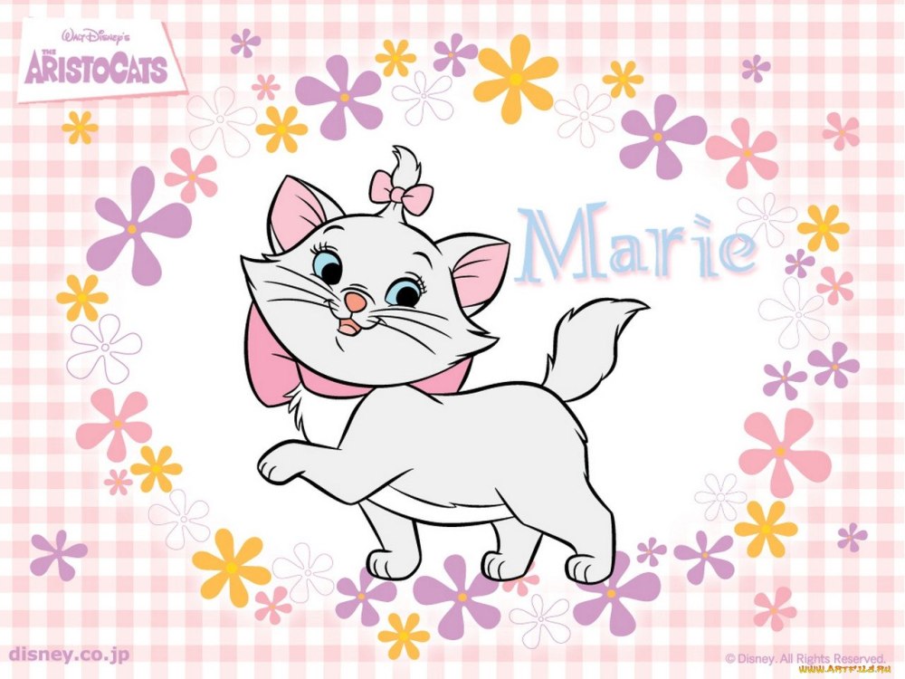 Кошка Мари коты Аристократы