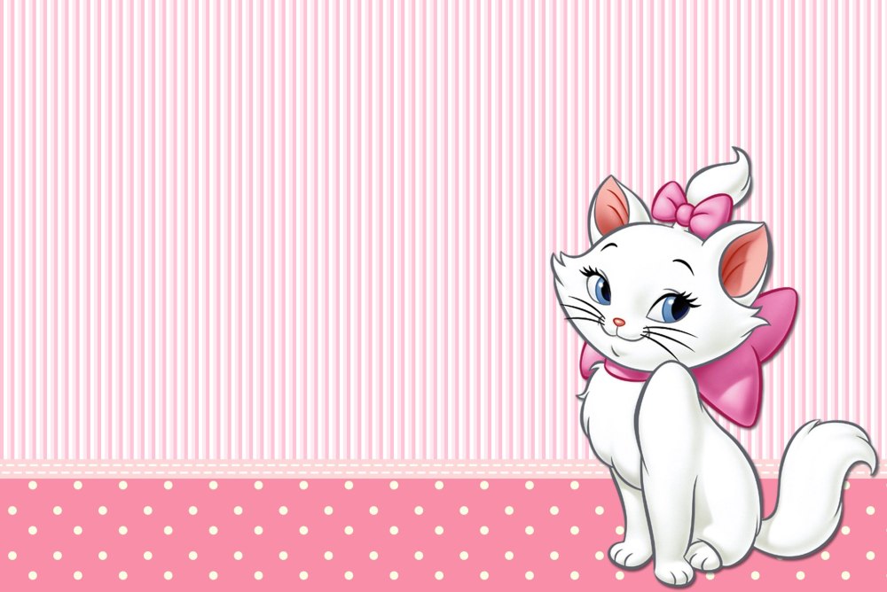 Котик на розовом фоне