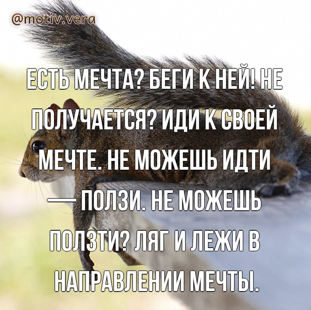 Стремится к мечте