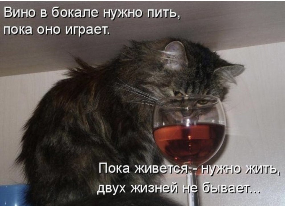 Выключи обогреватель