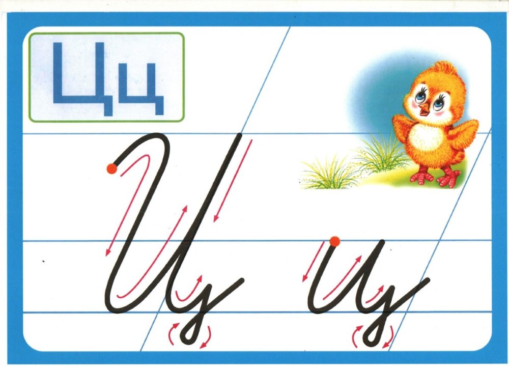 Письменная строчная буква ц