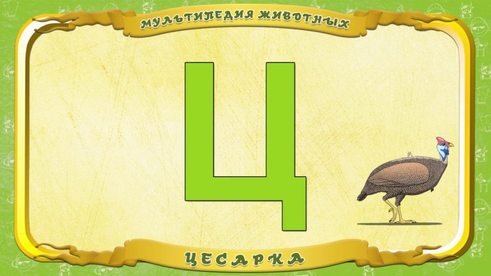 Стих про букву ц
