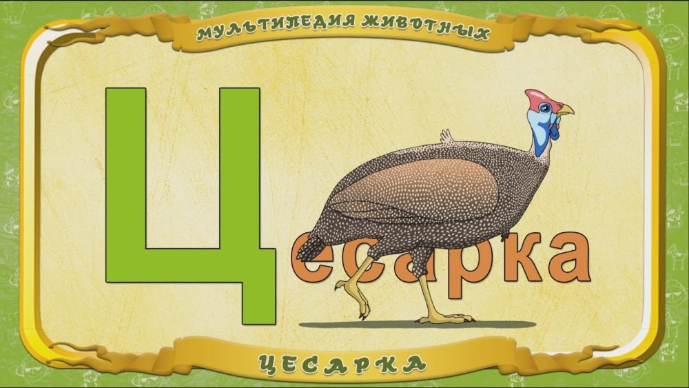Буква ц в форме цветка