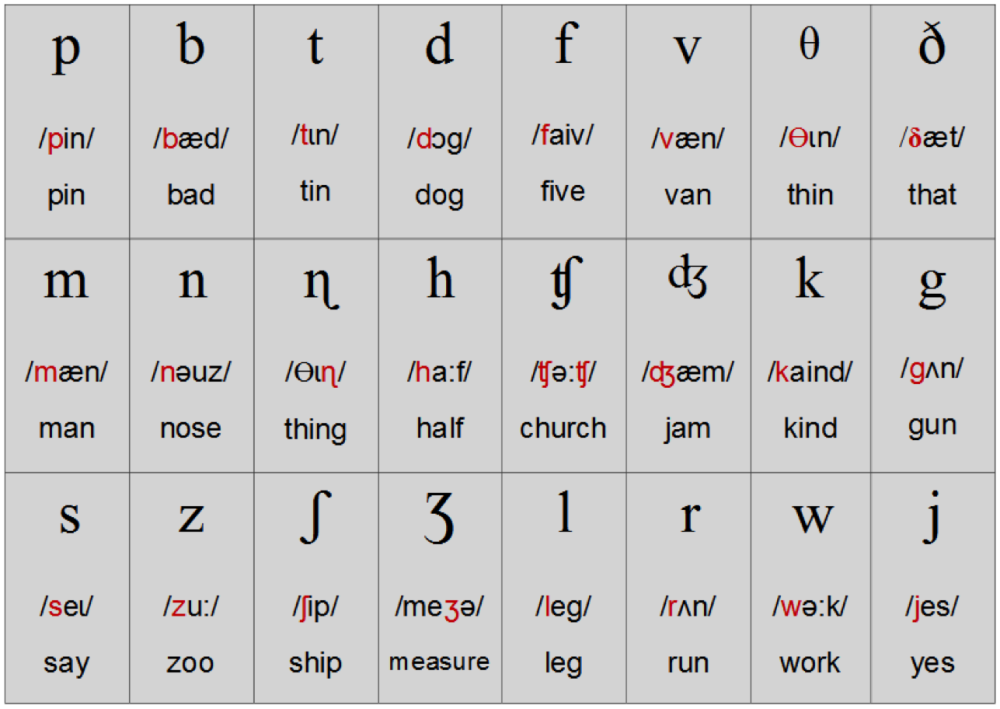 Звуки английского языка карточки. Транскрипция английского языка. Фонетические звуки английского языка. Транскрипционные значки в английском языке.
