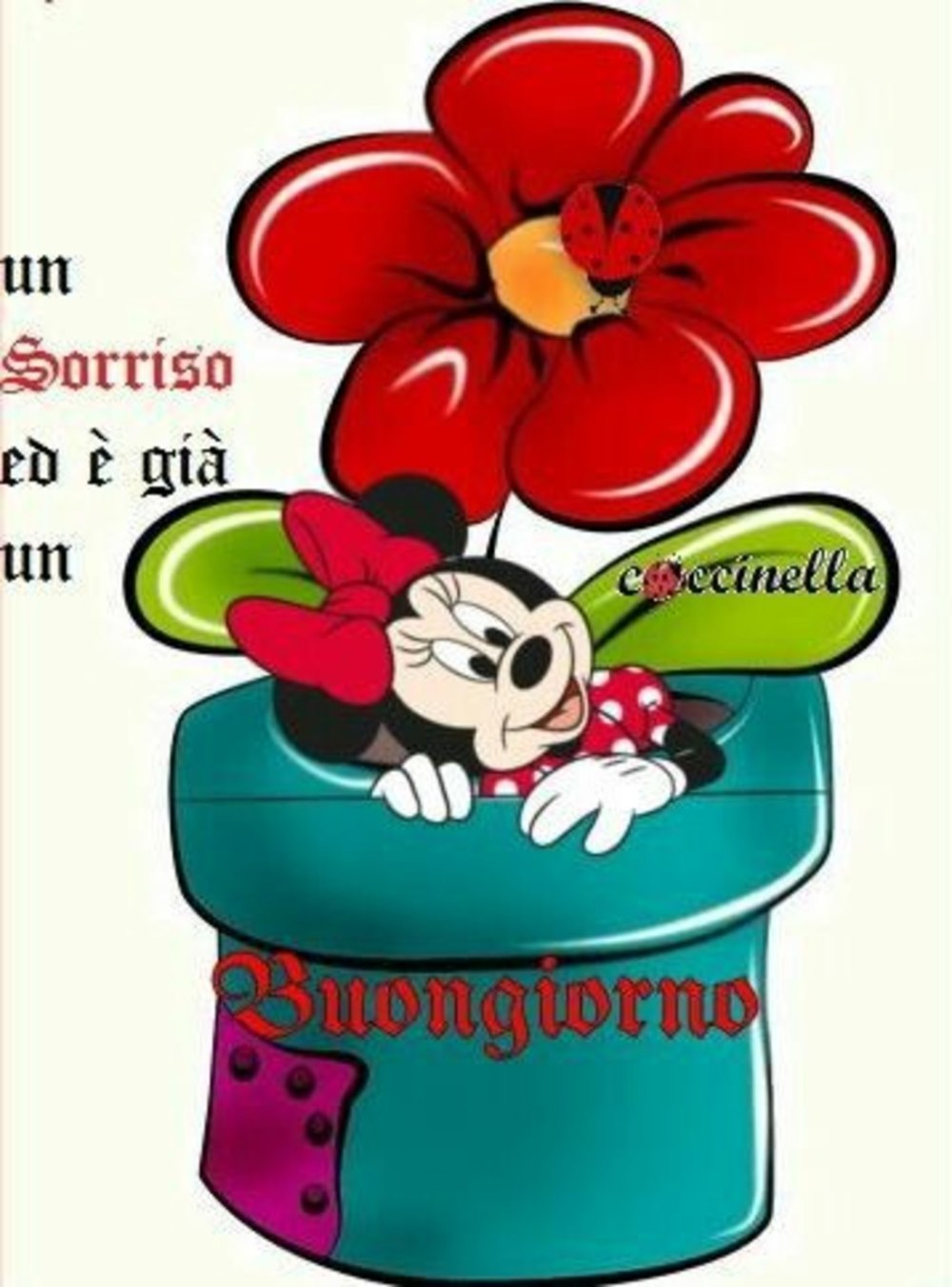 Buongiorno 55