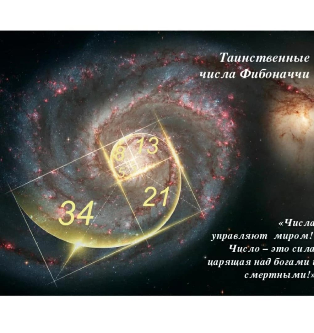 Число фи число Бога