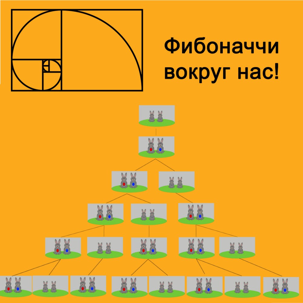 Фибоначчи математик