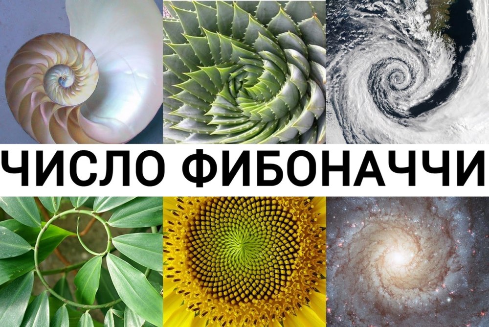 Числа Фибоначчи Воробьев
