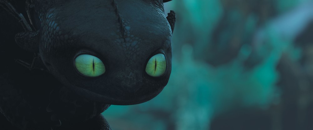 Следы ночной фурии